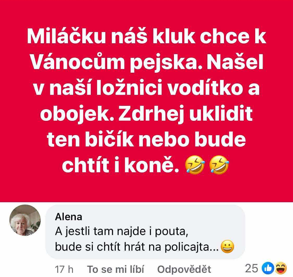 Dieťa objavilo vodítko a obojek v spálni, hrozí, že bude chcieť psa na Vianoce. Vtipný komentár dolu.