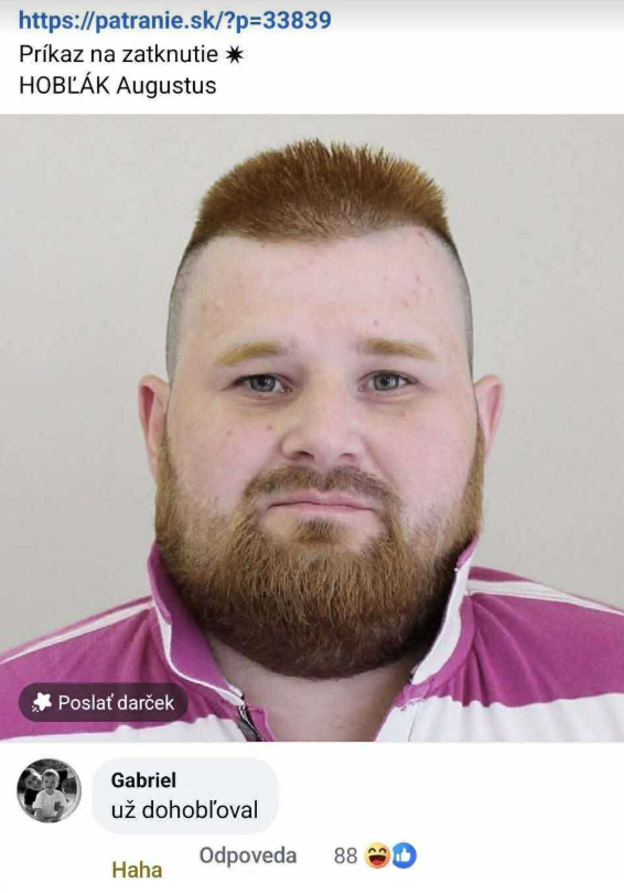 Osoba so záznamom na zatknutie, s komentárom „už dohobľoval“; internetová diskusia.