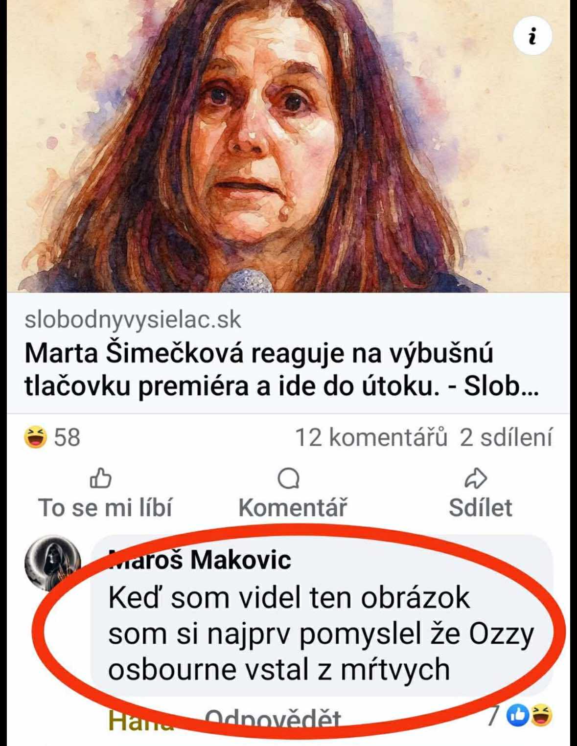 Žena reaguje na tlačovku premiéra, vtipný komentár porovnáva jej vzhľad s hudobníkom.