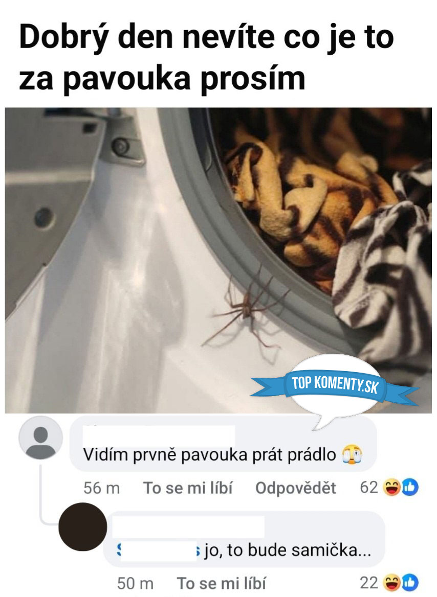 Pavúk objavený v práčke s vtipnými komentármi o jeho úlohe pri praní.