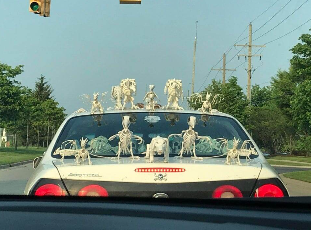 Auto s dekoráciou kostier na zadnej kapote, čakajúce na semafore.