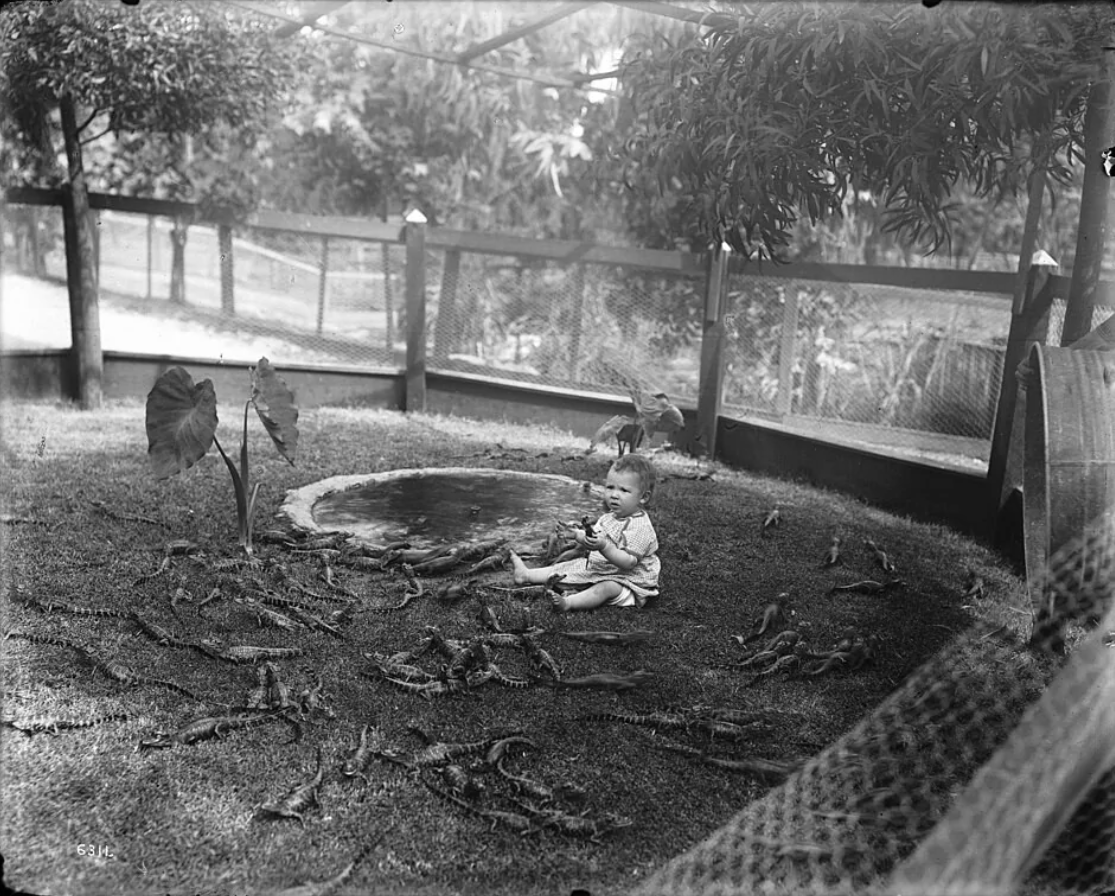 Dieťa sedí v záhrade s mláďatami krokodílov, obklopené prírodou.