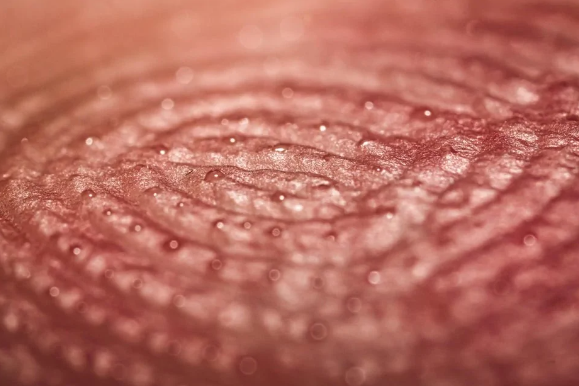 Makro detail odtlačku prsta s jemnými vráskami a kvapkami na povrchu pokožky.