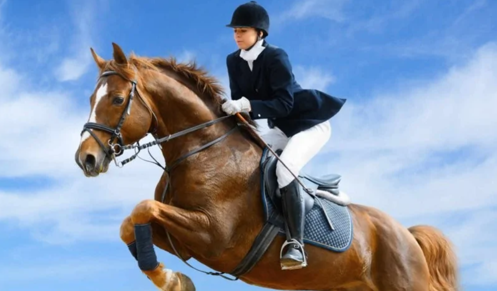 Jazdec na hnedom koni preskakuje prekážku, modrá obloha v pozadí, súťažná jazdecká uniforma.