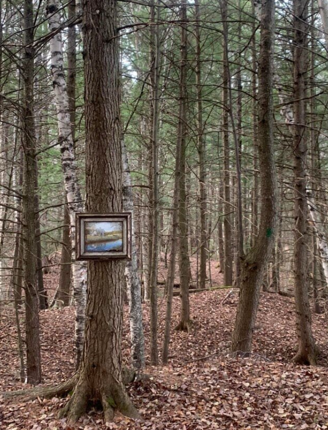 Obraz zavesený na strome v lese, okolité stromy a listnaté podlažie vytvárajú jedinečnú prírodnú galériu.