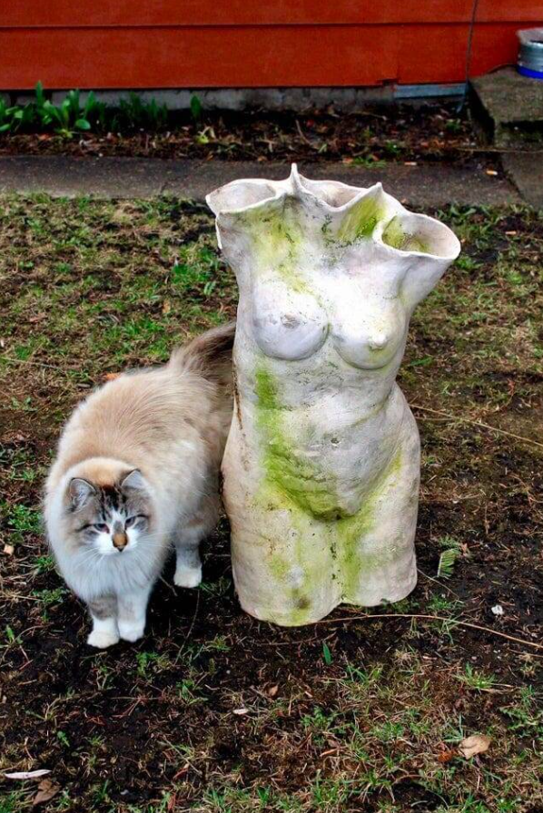 Mačka vedľa mramorovej sochy ženského torza na záhrade s oranžovou stenou v pozadí.