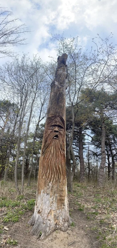 Vyrezávaný drevený totem v lese s tvárou starého muža, obklopený stromami a modrou oblohou.