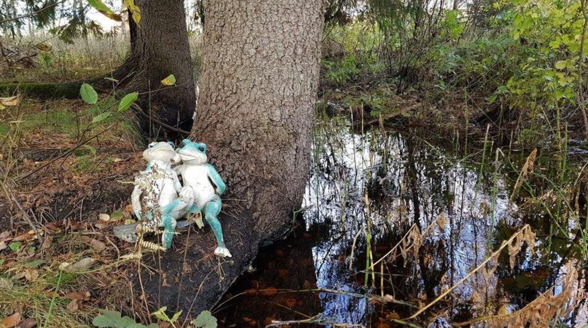 Dve sošky žiab opreté o strom pri lesnom jazierku obklopené prírodou a zeleňou.