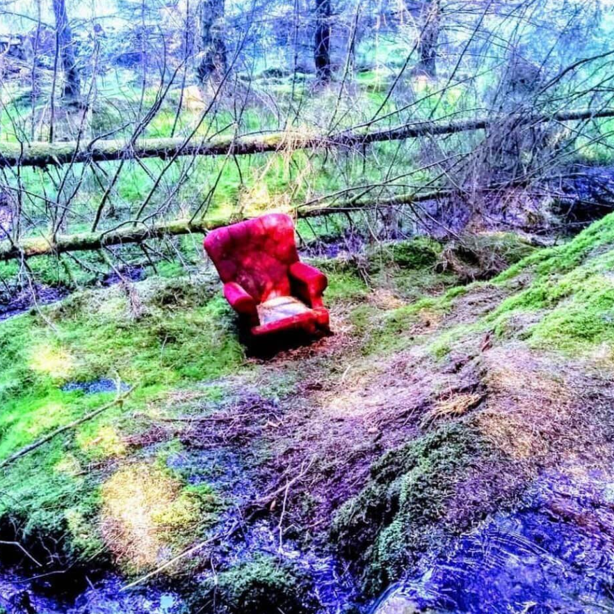 Červené kreslo na zelenej lesnej čistinke, obklopená padajúcimi stromami, vytvára surrealistickú atmosféru.