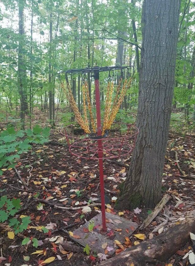 Diskgolfový kôš v lese obklopený padajúcimi jesennými listami.