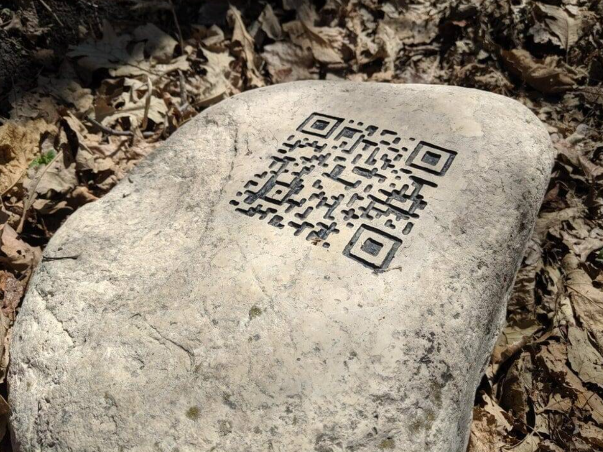 QR kód vyrytý na kameni v lese medzi listami, zmes technológie a prírody.