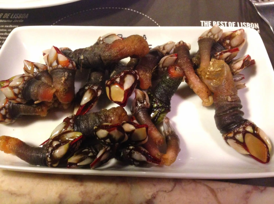 Tradičné portugalské jedlo percebes, podávané na bielom tanieri v reštaurácii v Lisabone.