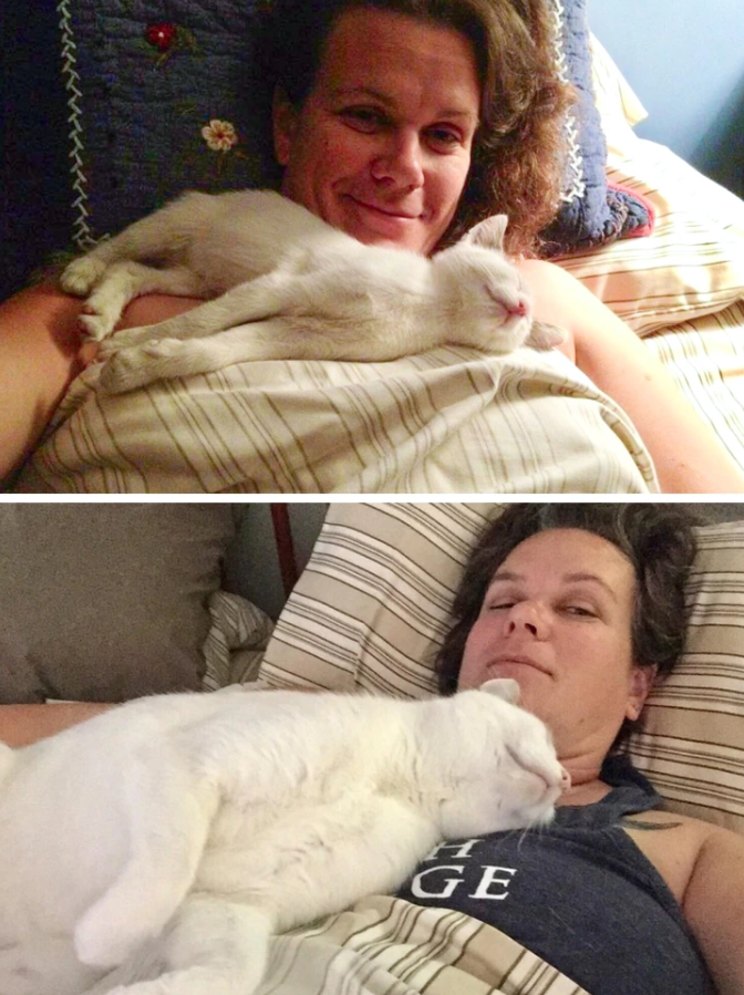 Osoba v posteli s bielou mačkou, ktorá sa spokojne rozvaľuje a spí na jej hrudi.