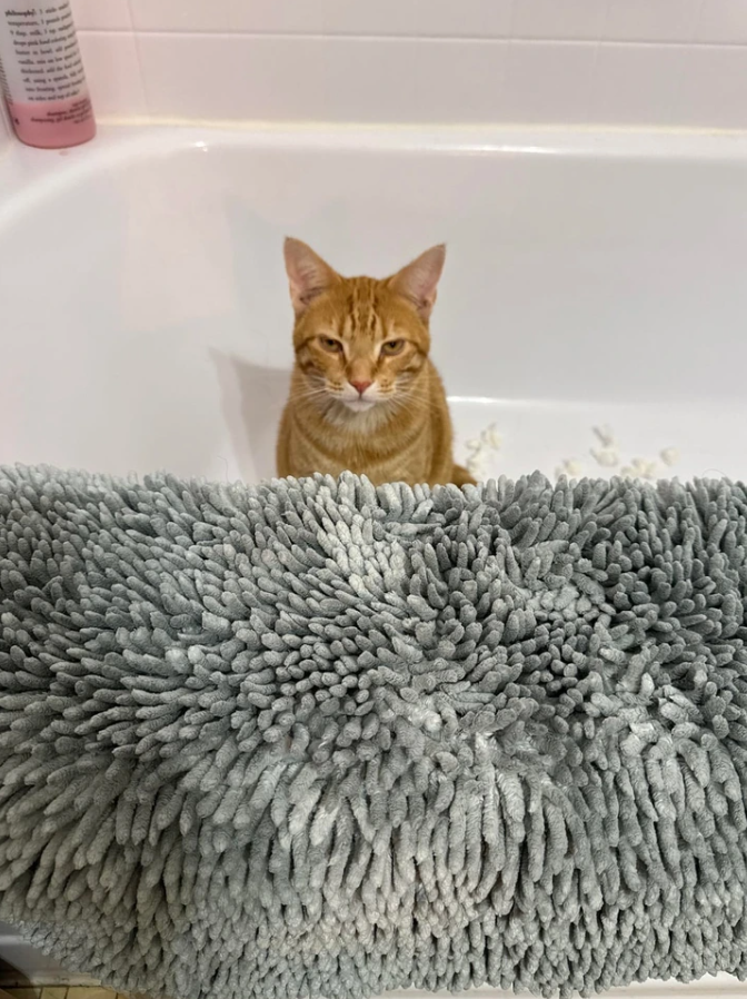 Oranžová mačka sedí vo vani za sivou chlpatou rohožou v kúpeľni.