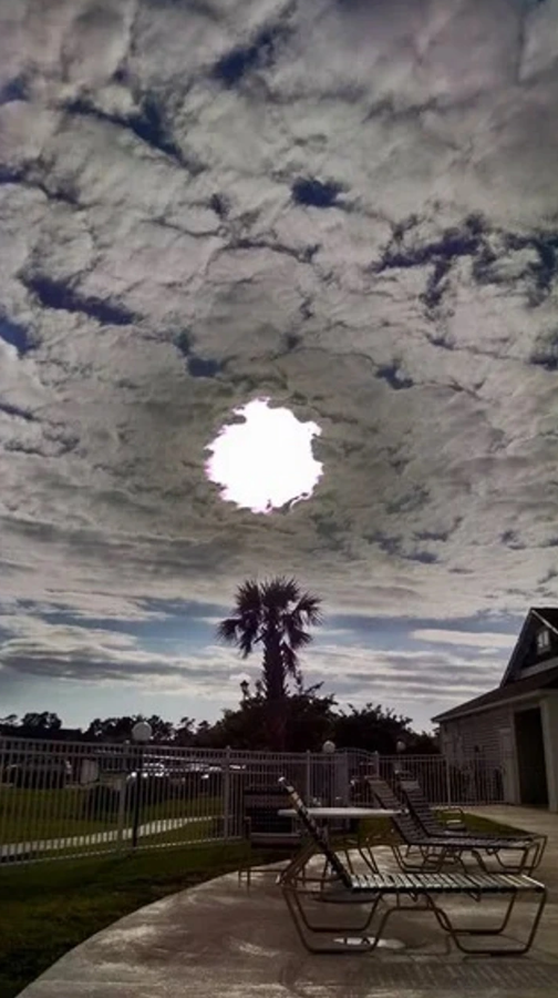 Diera v oblakoch nad bazénom s ležadlami a palmou, slnečný deň na záhrade.