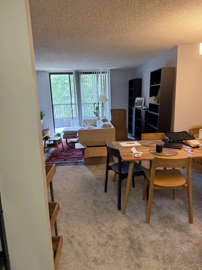 Obývacia izba s dreveným nábytkom, pohovkou, kartónovými krabicami a veľkými oknami s výhľadom do zelene.