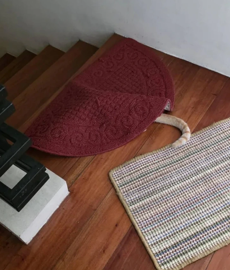 Červený koberec na schodoch s vyčnievajúcim chvostom mačky ukrytým pod ním.