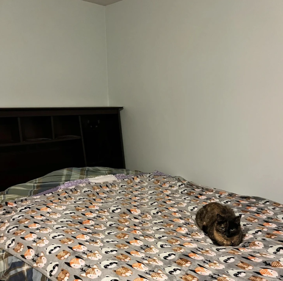 Na posteli s farebnou dekou leží mačka, v pozadí je tmavé drevené čelo postele.