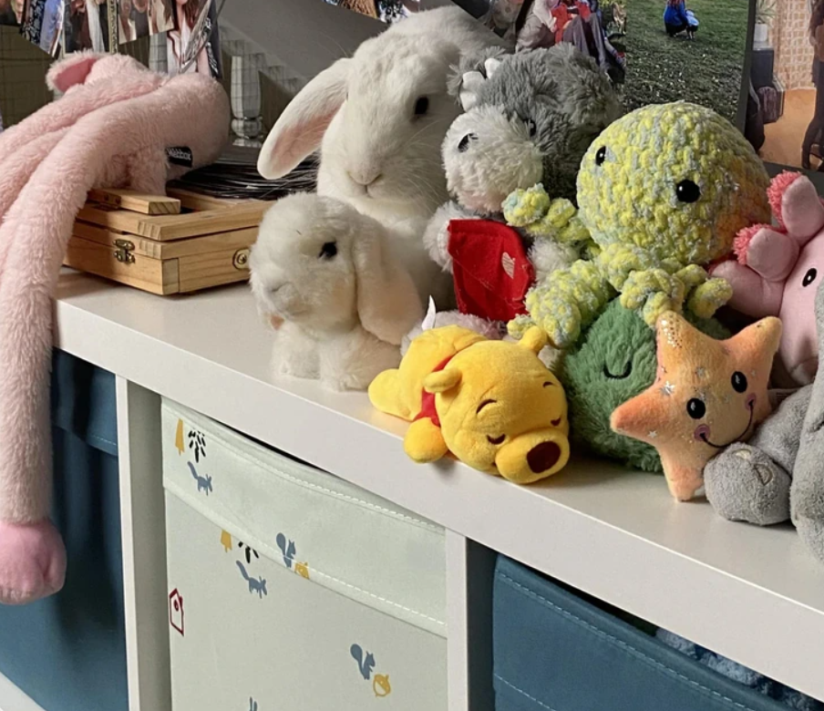 Plyšové hračky na poličke: zajace, medveď, chobotnica a hviezdica prinášajú útulnú atmosféru detskej izby.