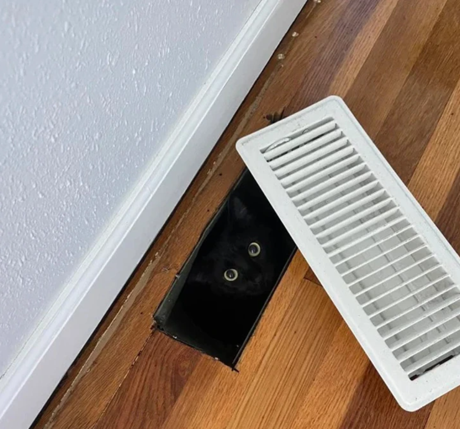 Čierna mačka schovaná v otvore dlaždíc podlahy, na okraji miestnosti, so zvedavými očami.