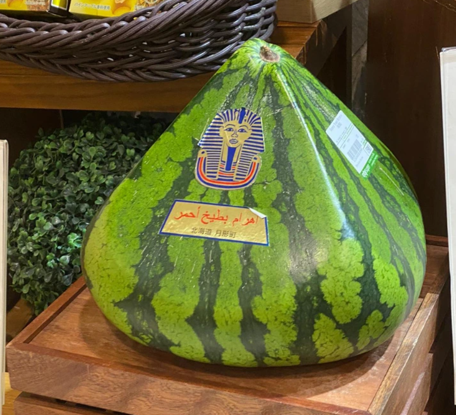 Neznámy objekt na drevenej polici; zeleno-čierny s egyptským logom a štítkom v cudzom jazyku.