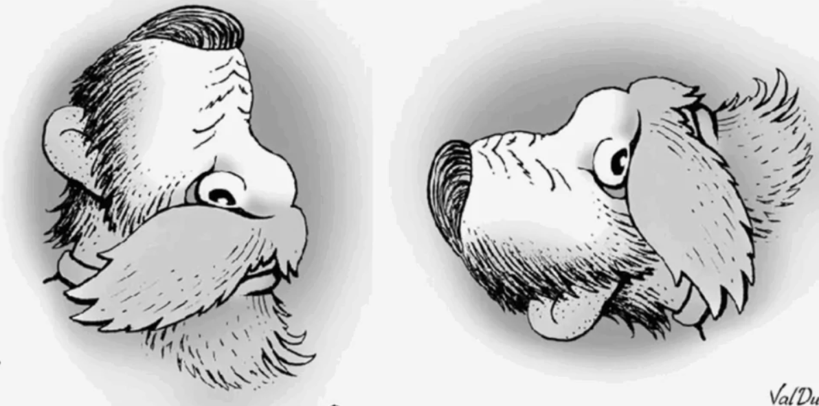 Kreslený obrázok tváre muža s fúzami a psa tvoria optickú ilúziu na porovnanie bočného profilu.