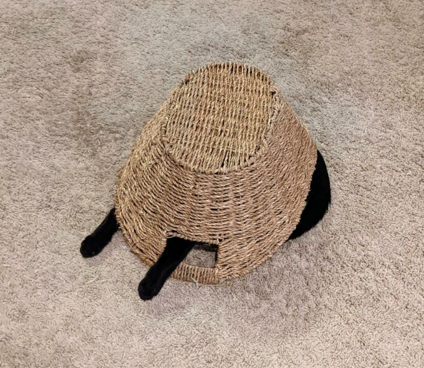 Čierna mačka skrytá pod prúteným košom s labkami trčiacimi von na koberci.