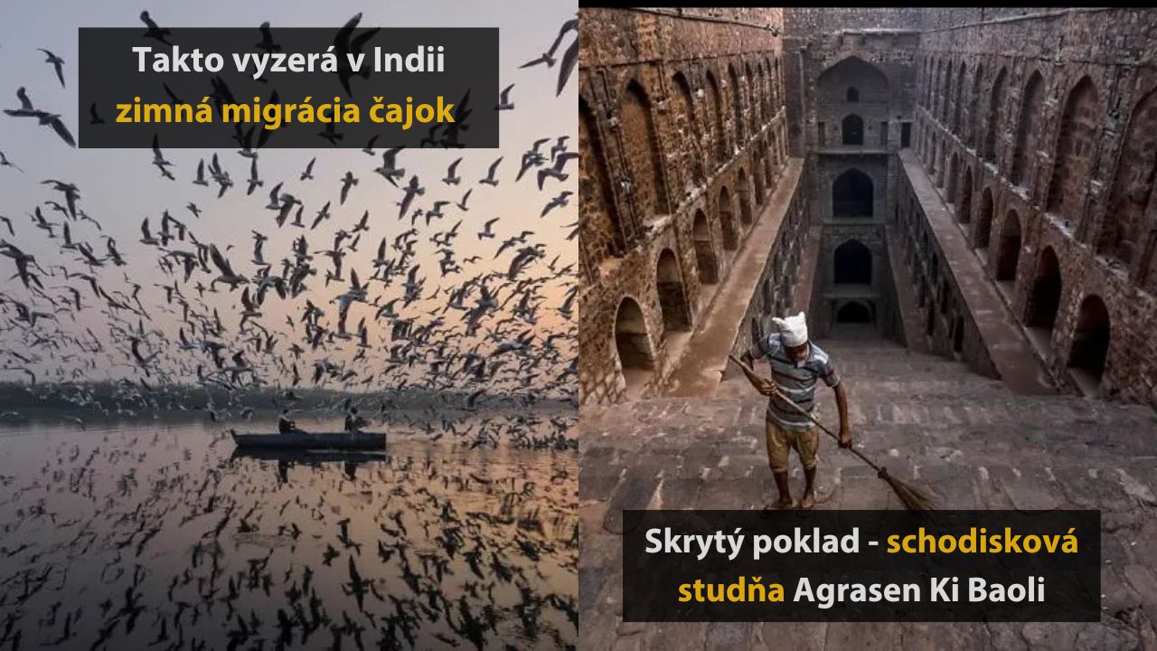 Migrácia čajok cez rieku v Indii a schodisková studňa Agrasen Ki Baoli v Dillí.