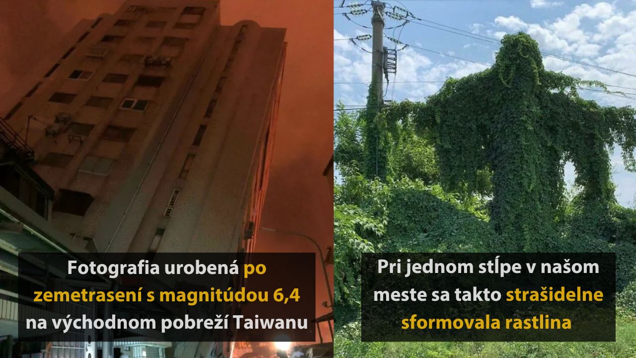 Neviem zobraziť obrázok, ale popisujem: Zemetrasenie na Taiwane a zvláštne tvarovaná rastlina na stĺpe.