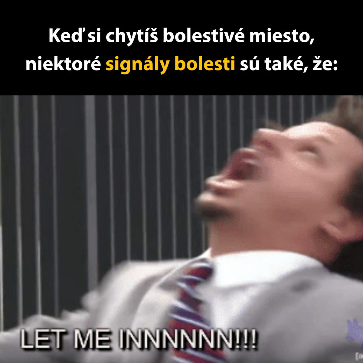 GIF s vtipným výrazom muža, ktorý dramaticky kričí a ukazuje frustráciu pri bariére, text: LET ME INNNNN!!!.