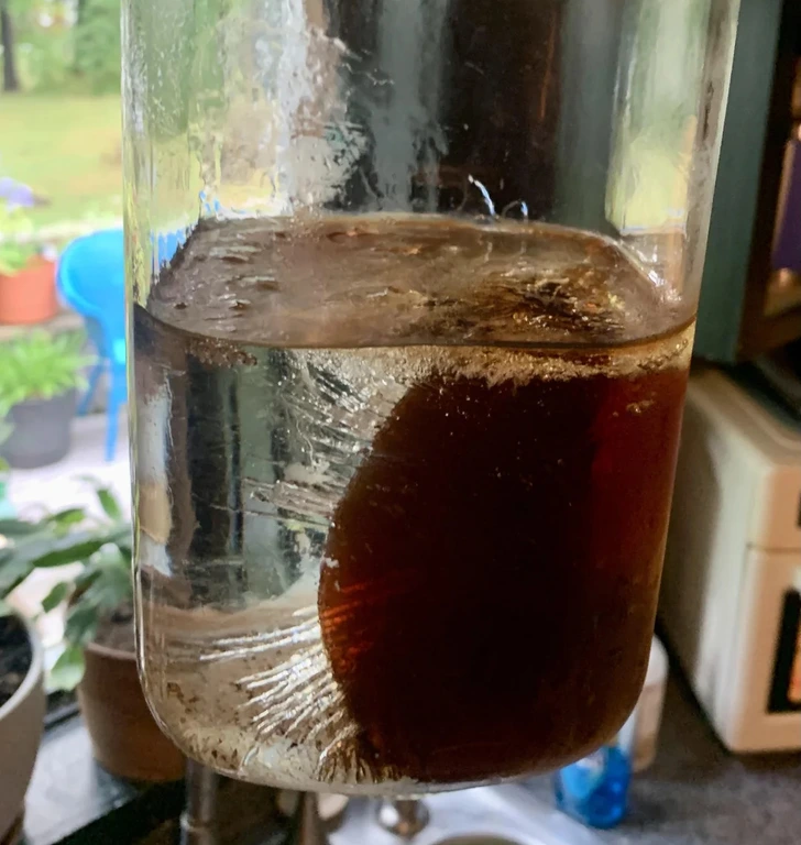 Sklenená nádoba s vodou, v ktorej sa nachádza veľký ľadový kus. V pozadí sú rozmazané rastliny a vonkajší priestor.