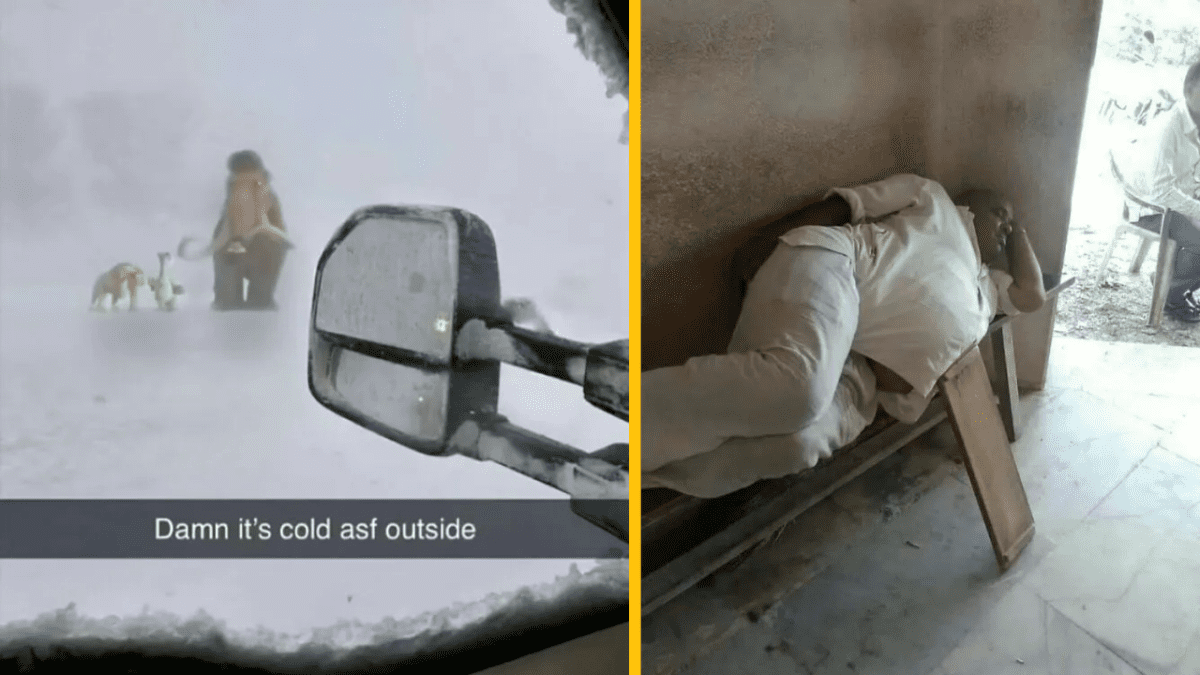 Zasnežená cesta so zvieratami pri aute a človek odpočívajúci na lavičke, kontrast zimy a pohody.