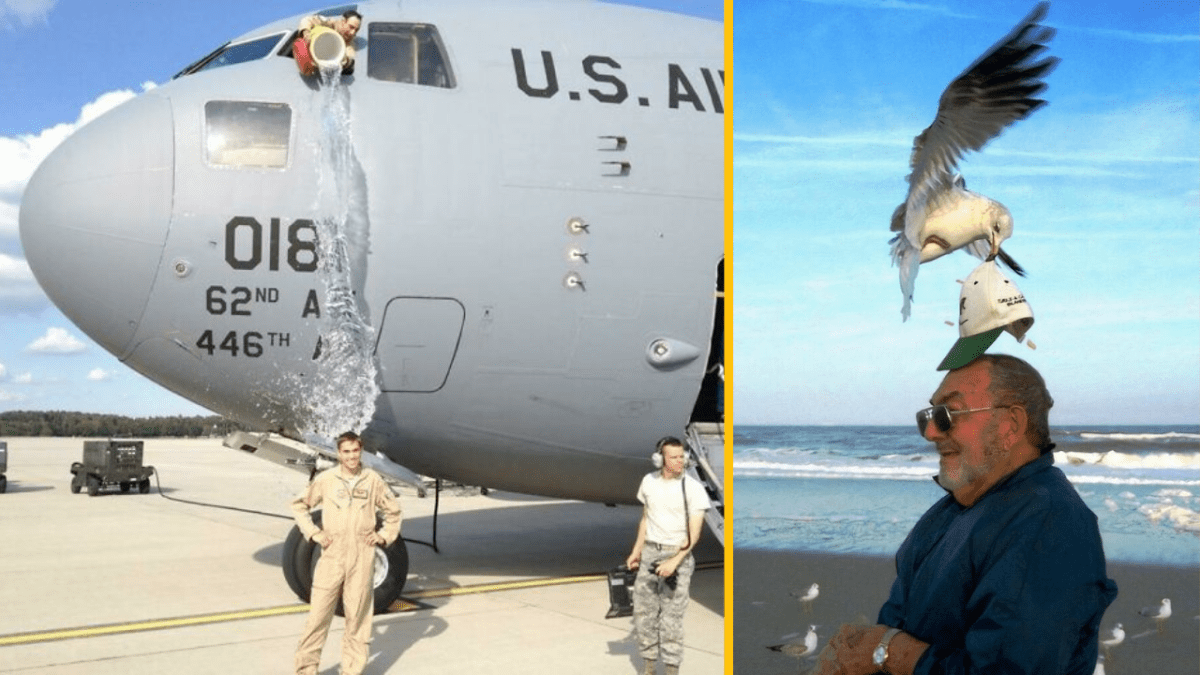 Ľudia pri lietadle s kanvicou a muž na pláži, na ktorého klobúku stojí čajka. Zábavné optické ilúzie.