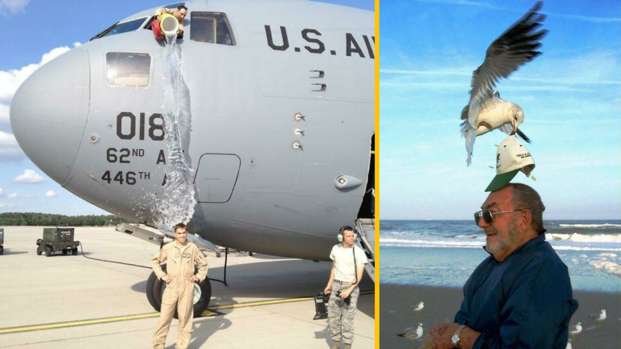 Ľudia pri lietadle s kanvicou a muž na pláži, na ktorého klobúku stojí čajka. Zábavné optické ilúzie.