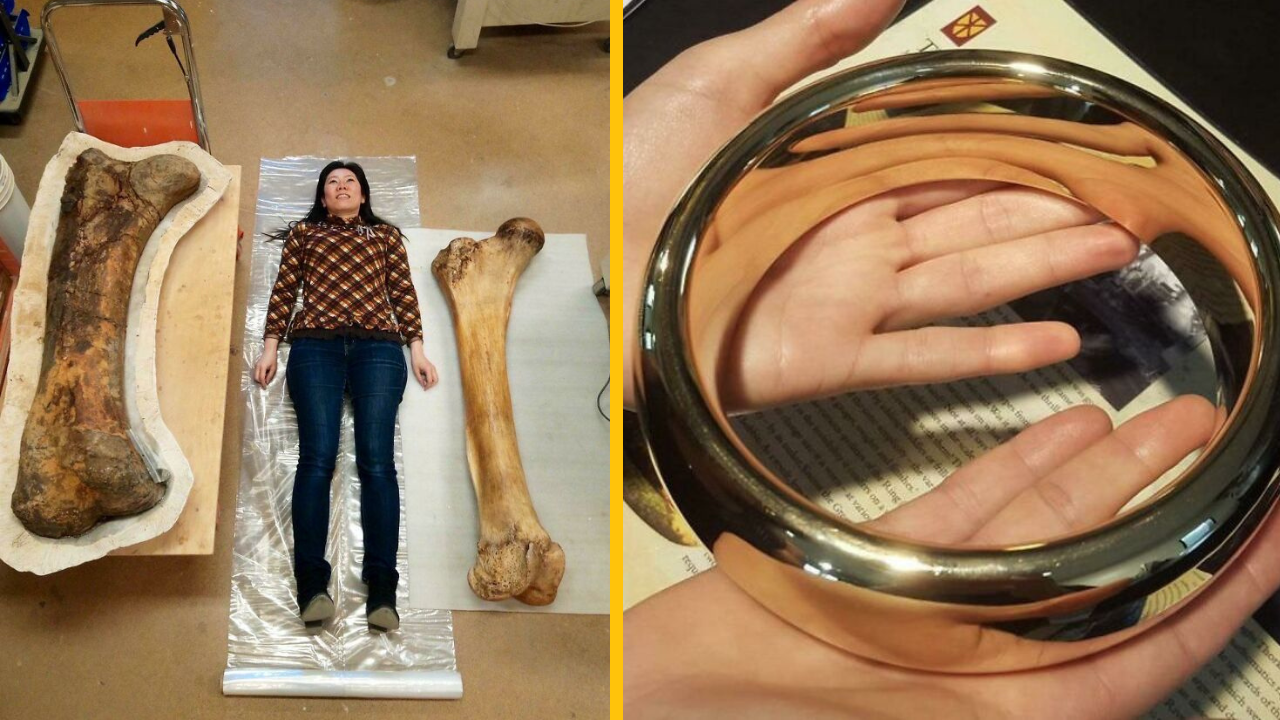 Žena ležiaca vedľa obrovských kostí dinosaura a detailný záber ruky s optickou ilúziou v kovovom prstenci.