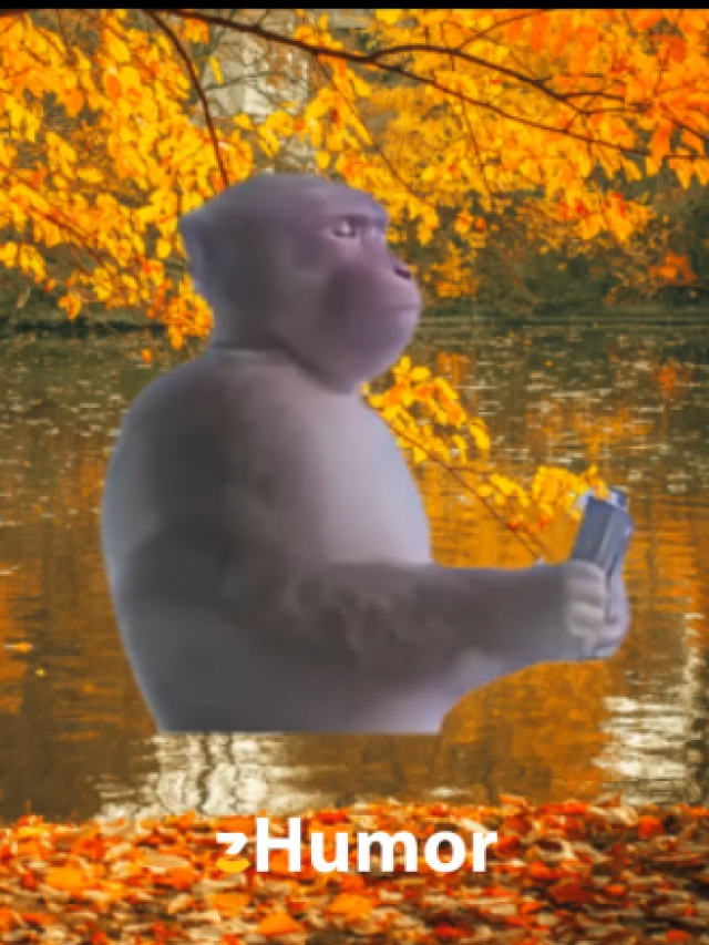 Video memes pre lepší deň