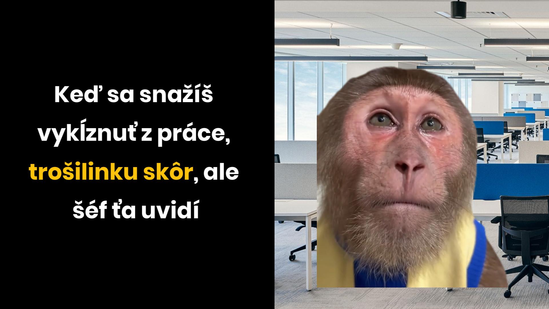 Opica v kancelárii s textom o snahe odísť z práce skôr, ale šéf ťa pristihne.