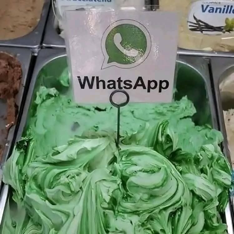 Zelená zmrzlina so štítkom WhatsApp v zmrzlinárni. Kreatívny a zábavný príchuťový nápis.