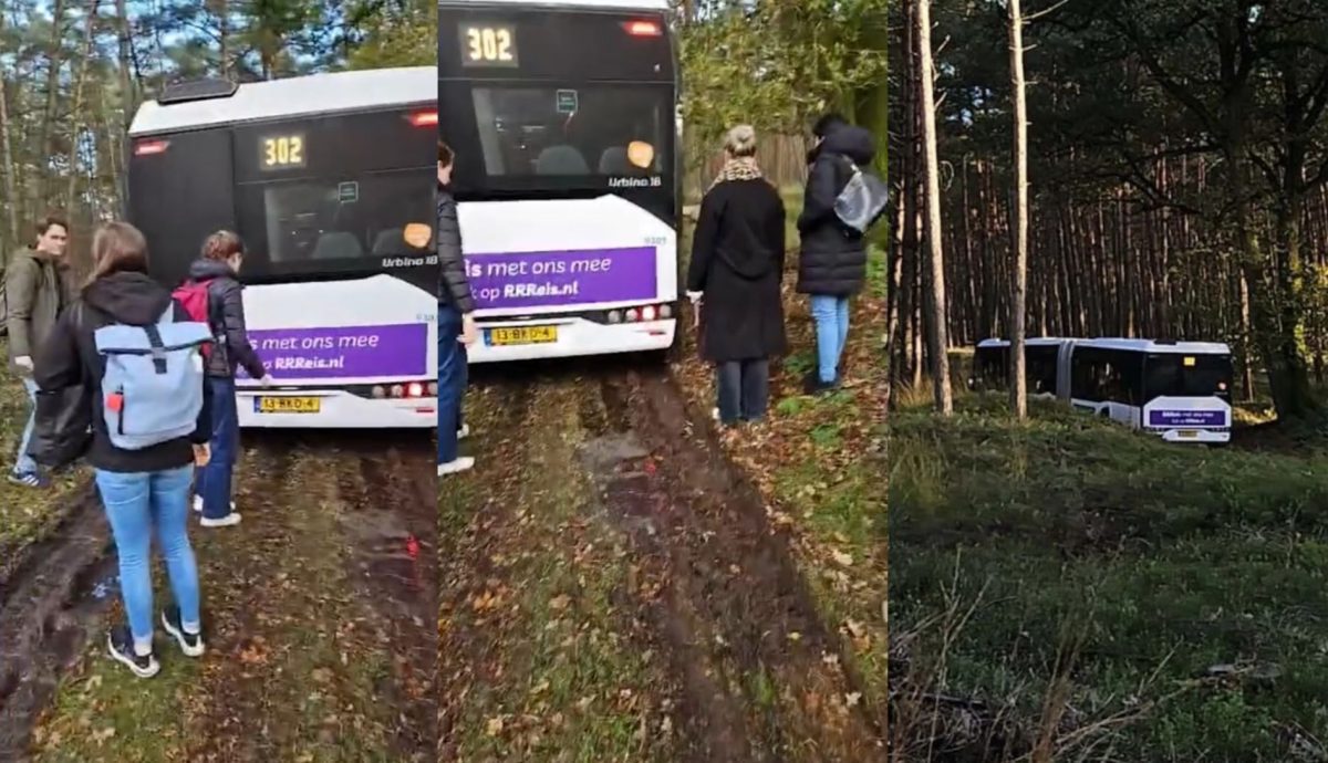 Autobus číslo 302 uviazol v bahnitom lese, cestujúci okolo neho skúmajú situáciu.