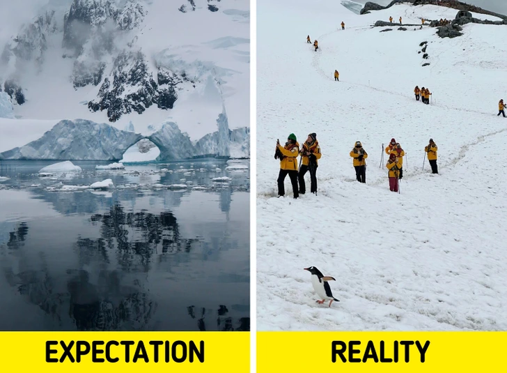 Očakávanie verzus realita: Ľadovce vs. turisti na snehu s tučniakom, kontrast medzi prírodou a turistickým ruchom.