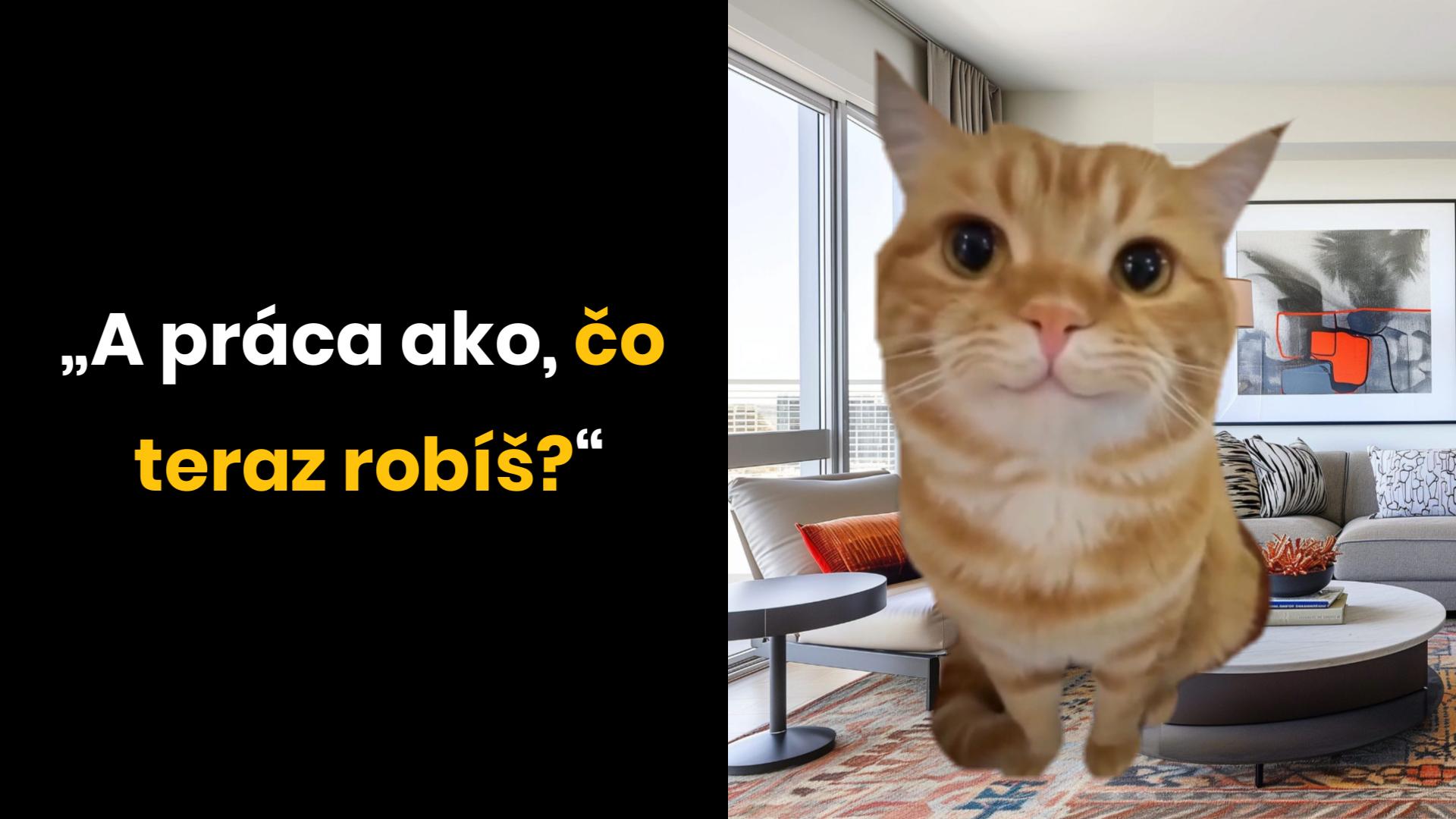 Mačka v obývačke s citátom: „A práca ako, čo teraz robíš?“ vtipný moment.
