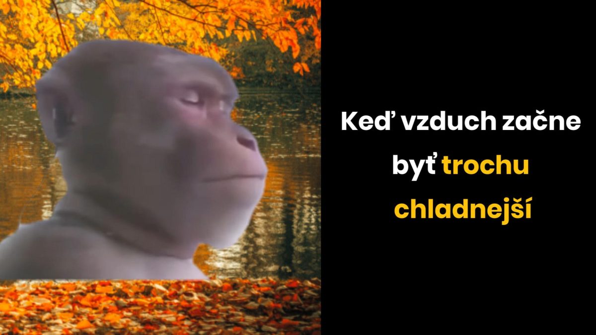 Opica sediaca pri jesennom jazere, kým lístie padá a vzduch sa ochladzuje. Text o zmene teploty.