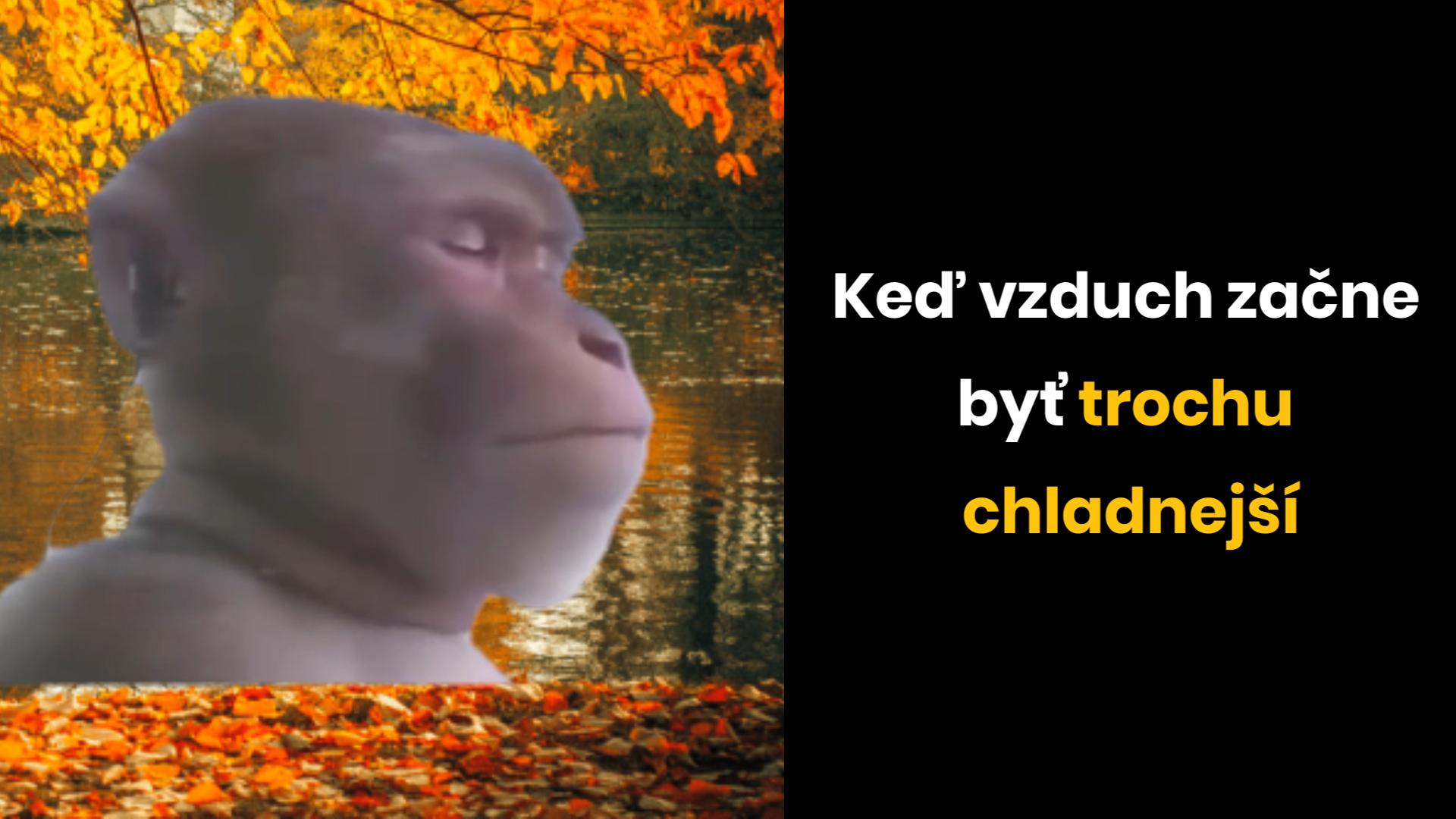 Opica sediaca pri jesennom jazere, kým lístie padá a vzduch sa ochladzuje. Text o zmene teploty.