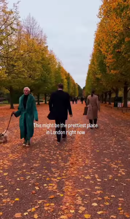 Jeseň v mestskom parku s opadanými listami, ľudia na prechádzke so psom.