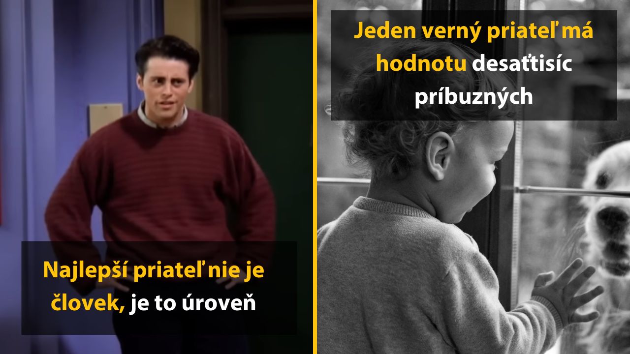 Dve tematické obrázky: muž v interiéri a dieťa so psom pri okne, s motivačnými textami o priateľstve.