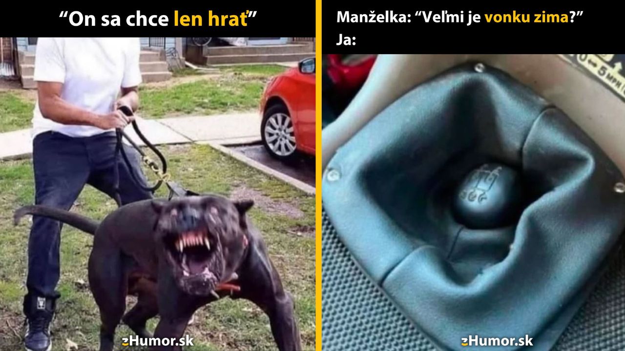 Pes na vôdzke vyzerá hrozivo, zatiaľ čo žena v aute zakrýva radiacu páku rukávom pred zimou.