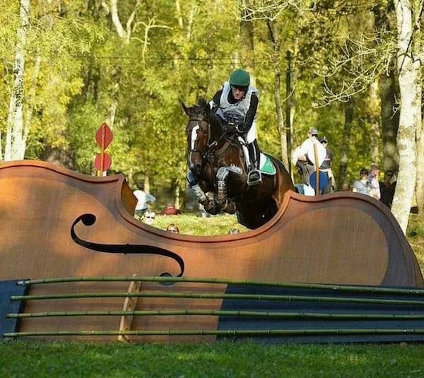 Jazdec na koni preskakuje prekážku v tvare huslí v lese počas súťaže v parkúrovom skákaní.