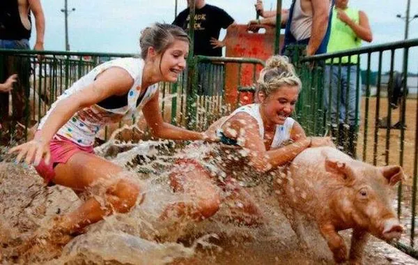 Dve ženy chytajú prasa v bahnistom výbehu na súťaži, zábava a výzva v blate.