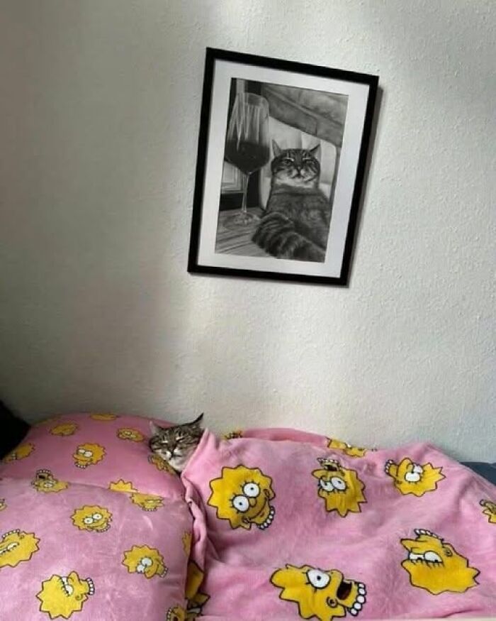 Mačka pod dekou s motívom Lízy Simpsonovej, nad ňou obrázok mačky s vínom.