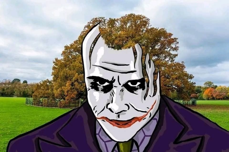 Komiksová tvár na pozadí rozľahlej zelenej lúky s farebným stromom.